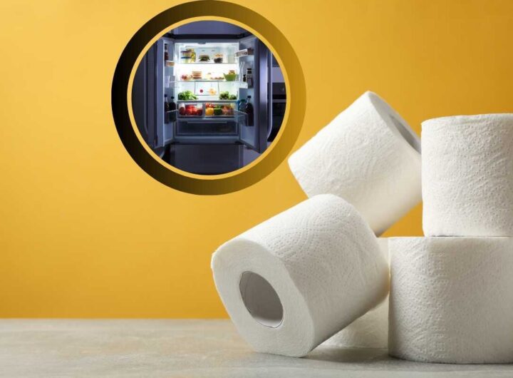 Trucco carta igienica nel frigo